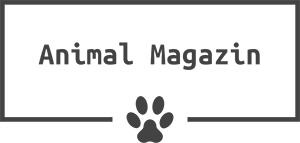 animal magazin