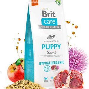 BRIT CARE Hypoallergenic PUPPY, cu Miel şi Orez