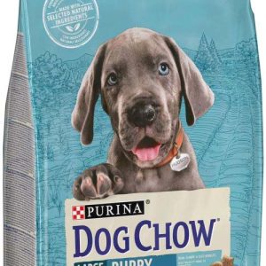 DOG CHOW Hrană uscată PUPPY pt căţei Talie Mare, cu Curcan şi Orez