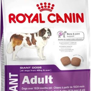 ROYAL CANIN SHN Giant Adult
