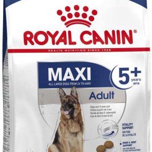 ROYAL CANIN SHN Maxi Adult 5+