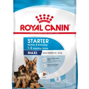 ROYAL CANIN SHN Maxi Starter Mother & Babydog