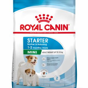 ROYAL CANIN SHN Mini Starter Mother & Babydog pt. femele gestante şi căţei