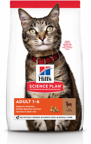 HILL's SP Feline Adult, cu Miel
