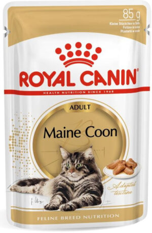ROYAL CANIN FBN Plic pentru pisici Mainecoon 85g