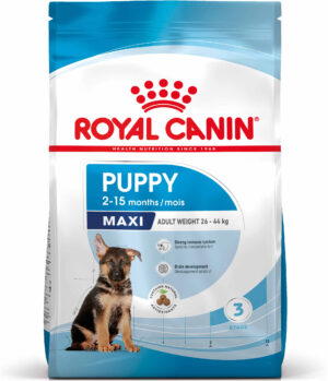 ROYAL CANIN SHN Maxi PUPPY (vârsta până la 15 luni)